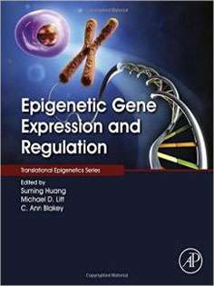Epigenetic Gene Expression and Regulation