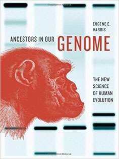 Ancestors in Our Genome: The New Science of Human Evolution