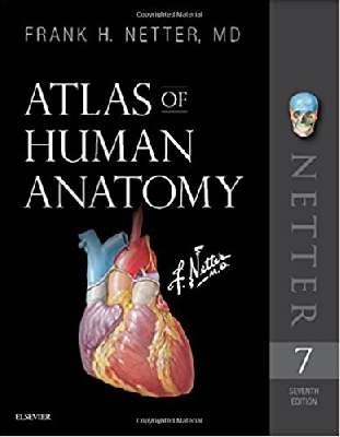 Atlas of Human Anatomy Netter