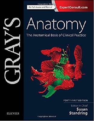 Anatomy: The Anatomical Basis of Clinical Practicez - Gray`s -2vol