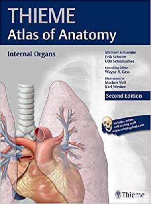 Atlas of anatomy neck and internal organs - Thieme