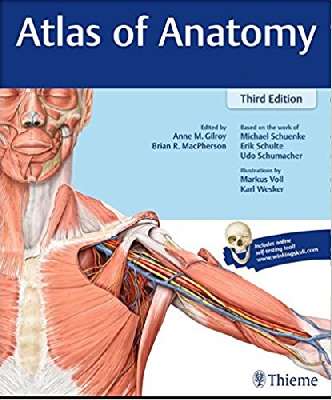 Atlas of Anatomy - Thieme