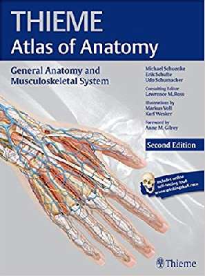 General Anatomy and Musculoskeletal System