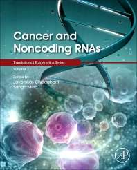 Cancer and Noncoding RNAs, Volume 1