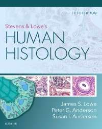 Stevens & Lowe's Human Histology