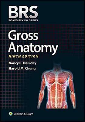  BRS Gross Anatomy