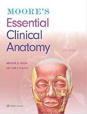 Moore's Essential Clinical Anatomy