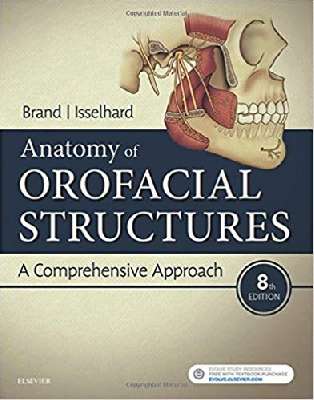  Anatomy of Orofacial Structures: A Comprehensive Approach