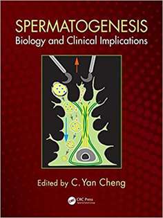 Spermatogenesis: Biology and Clinical Implications