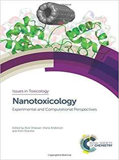 Nanotoxicology: Experimental and Computational Perspectives