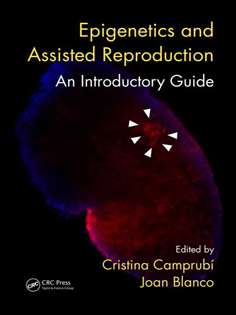 Epigenetics and Assisted Reproduction: An Introductory Guide