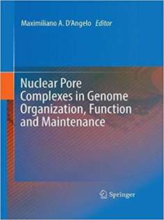 Nuclear Pore Complexes in Genome Organization, Function and Maintenance