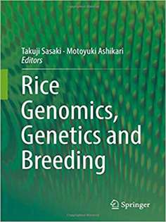 Rice Genomics, Genetics and Breeding