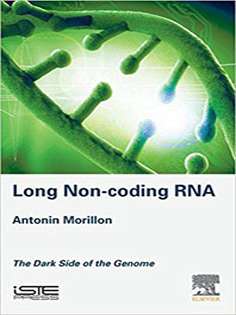 Long Non-coding RNA The Dark Side of the Genome