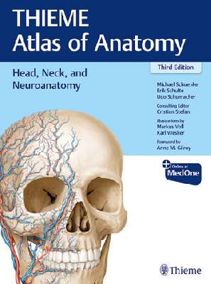 (Head, Neck, and Neuroanatomy (THIEME Atlas of Anatomy