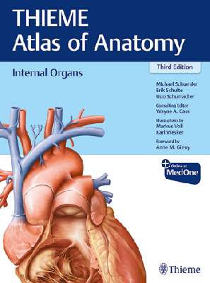 (Internal Organs (THIEME Atlas of Anatomy