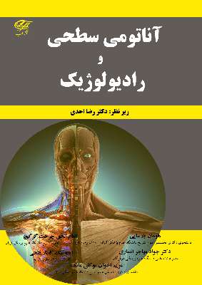 آناتومی سطحی و رادیولوژیک