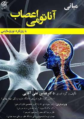 مبانی آناتومی اعصاب با رویکرد نوروساینس (تمام رنگی)