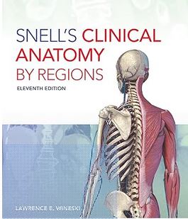 Snell's Clinical Anatomy by Regions 11th Edition